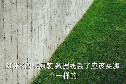 紅米K四零原裝 數據線丟了應該買哪個一樣的