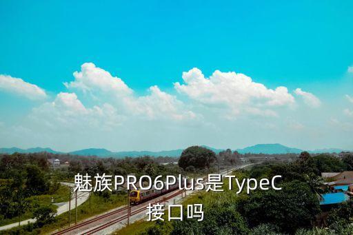  魅族PRO6Plus是TypeC接口嗎