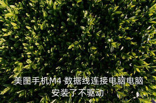 美圖數(shù)據(jù)線和什么一樣的嗎