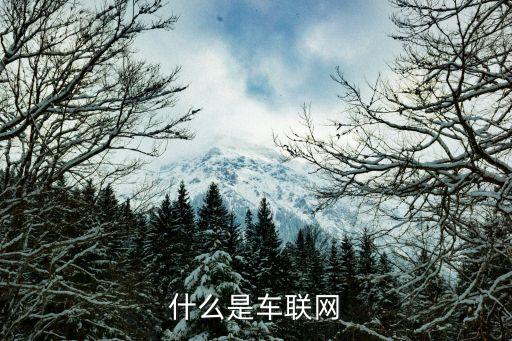 外國(guó)交通數(shù)據(jù)共享,北京交通數(shù)據(jù)共享再次表明