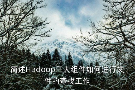簡述Hadoop三大組件如何進行文件的查找工作
