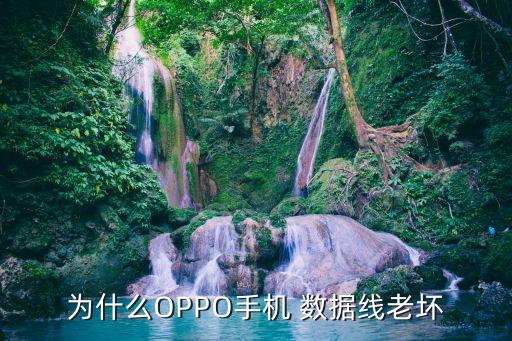 oppo數(shù)據(jù)線很奇怪,數(shù)據(jù)線一般多少錢一個OppO