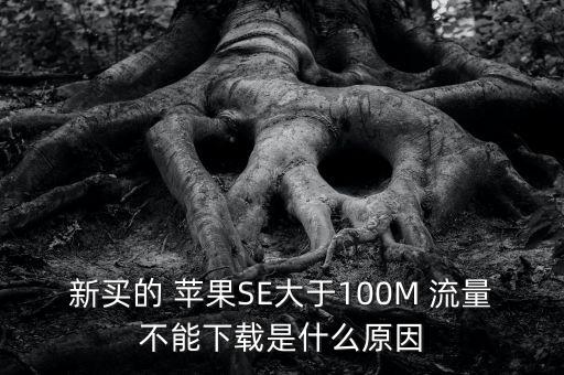 新買的 蘋果SE大于100M 流量不能下載是什么原因