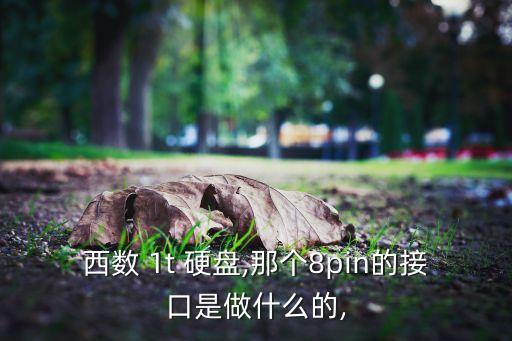 西數(shù) 1t 硬盤,那個8pin的接口是做什么的,