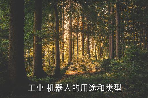 工業(yè)機器人都可以做什么