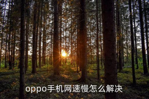 oppo手機(jī)網(wǎng)速慢怎么解決