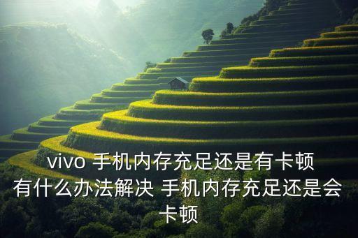 vivo手機數(shù)據(jù)使用情況