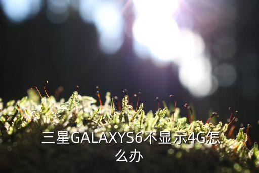  三星GALAXYS6不顯示4G怎么辦