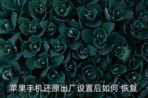 蘋果手機(jī)還原出廠設(shè)置后如何 恢復(fù)