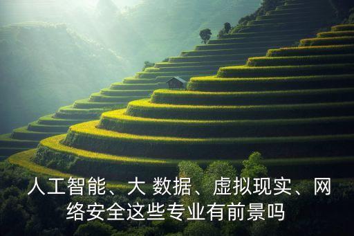  人工智能、大 數(shù)據(jù)、虛擬現(xiàn)實(shí)、網(wǎng)絡(luò)安全這些專業(yè)有前景嗎