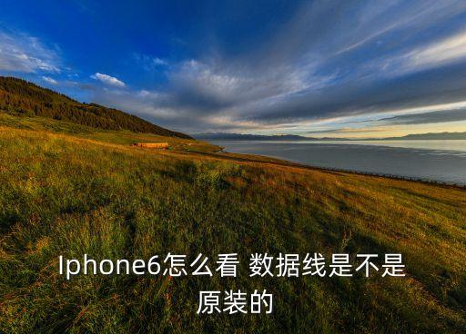 Iphone6怎么看 數(shù)據(jù)線是不是 原裝的