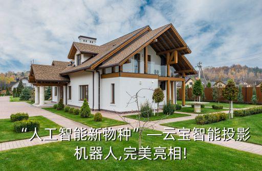 兒童陪伴機器人項目介紹,兒童智能陪伴機器人怎么連接網(wǎng)絡