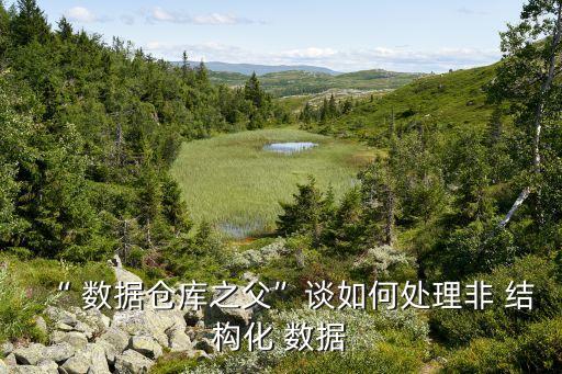 “ 數(shù)據(jù)倉庫之父”談如何處理非 結(jié)構(gòu)化 數(shù)據(jù)