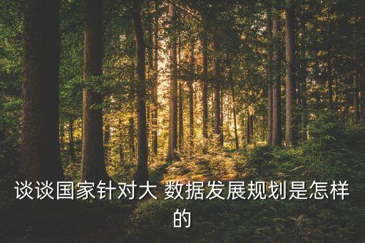 談?wù)剣裔槍Υ?數(shù)據(jù)發(fā)展規(guī)劃是怎樣的
