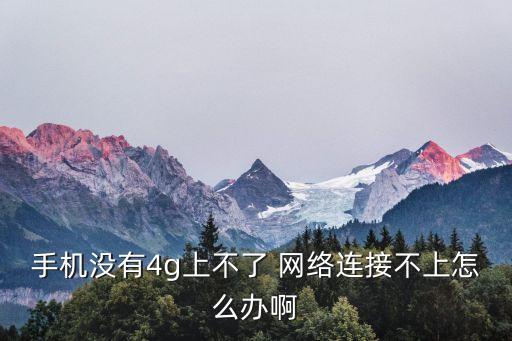 通知欄的限制數(shù)據(jù)網(wǎng)絡(luò)