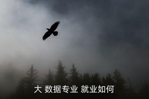 大 數(shù)據(jù)專業(yè) 就業(yè)如何