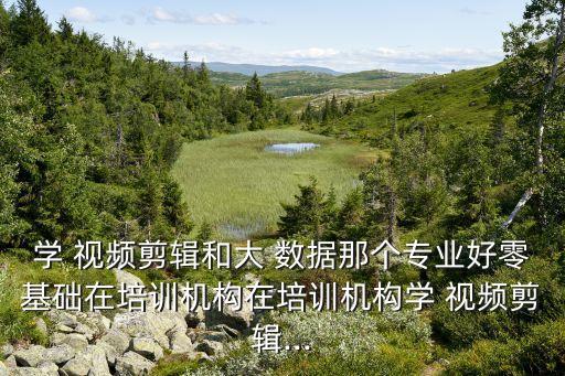 學(xué) 視頻剪輯和大 數(shù)據(jù)那個(gè)專業(yè)好零基礎(chǔ)在培訓(xùn)機(jī)構(gòu)在培訓(xùn)機(jī)構(gòu)學(xué) 視頻剪輯...