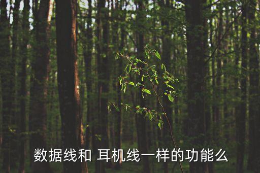  數(shù)據(jù)線和 耳機(jī)線一樣的功能么