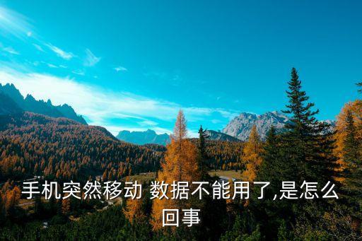 手機突然移動 數(shù)據(jù)不能用了,是怎么回事