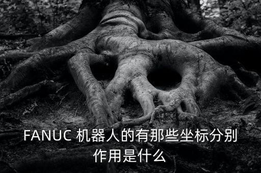 FANUC 機(jī)器人的有那些坐標(biāo)分別作用是什么