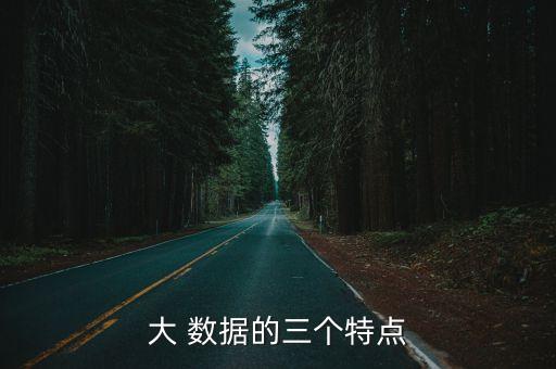 大數據顯著特征