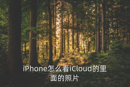 iPhone怎么看iCloud的里面的照片
