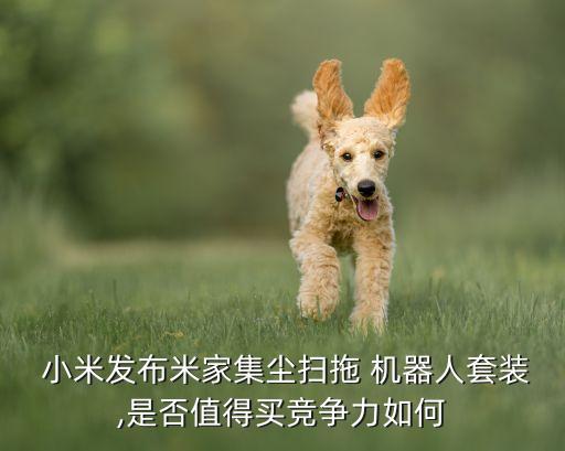  小米發(fā)布米家集塵掃拖 機(jī)器人套裝,是否值得買競(jìng)爭(zhēng)力如何