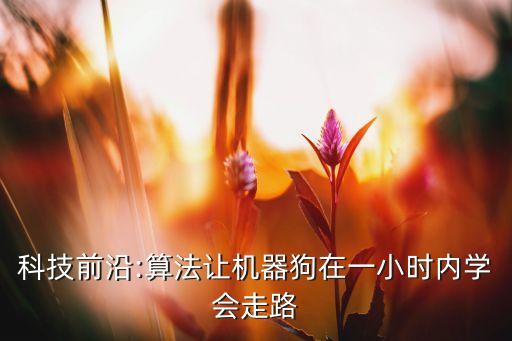 科技前沿:算法讓機(jī)器狗在一小時(shí)內(nèi)學(xué)會(huì)走路