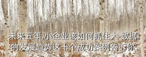 未來(lái)五年,小企業(yè)該如何抓住大 數(shù)據(jù)的發(fā)展趨勢(shì)這十個(gè)成功案例告訴你