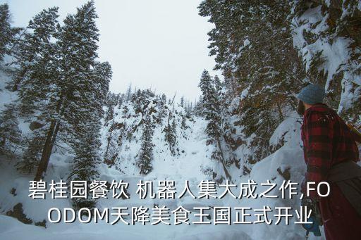 機(jī)器人盛宴