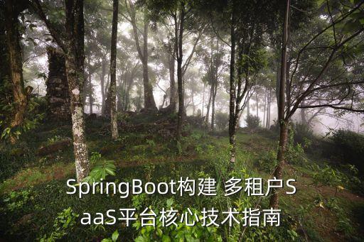 SpringBoot構(gòu)建 多租戶SaaS平臺核心技術(shù)指南