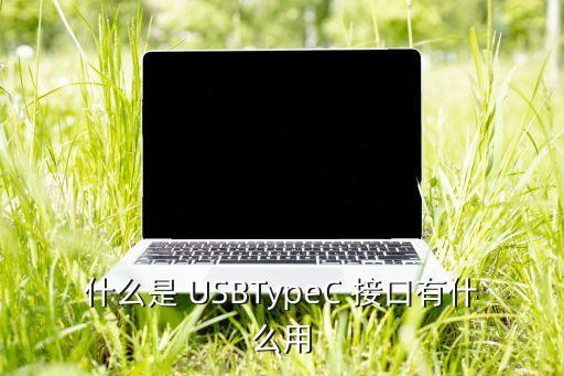 人體工程學(xué)的數(shù)據(jù)線USB接口