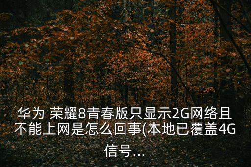 榮耀8 移動數(shù)據(jù)是什么,榮耀70移動數(shù)據(jù)沒有高清通話