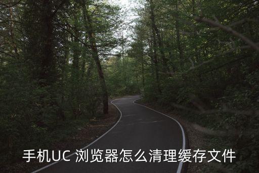 手機UC 瀏覽器怎么清理緩存文件