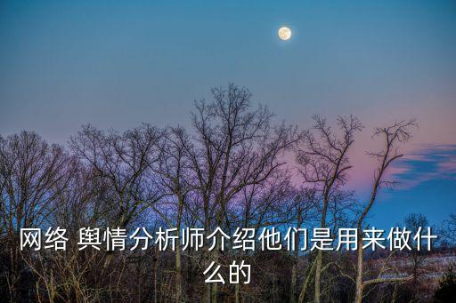網(wǎng)絡(luò) 輿情分析師介紹他們是用來做什么的