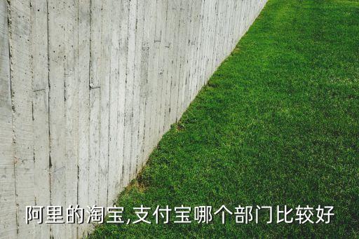 阿里的淘寶,支付寶哪個(gè)部門比較好