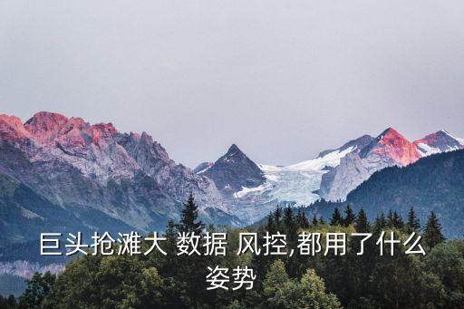 巨頭搶灘大 數(shù)據(jù) 風(fēng)控,都用了什么姿勢(shì)