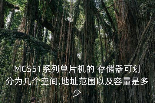 MCS51系列單片機的 存儲器可劃分為幾個空間,地址范圍以及容量是多少