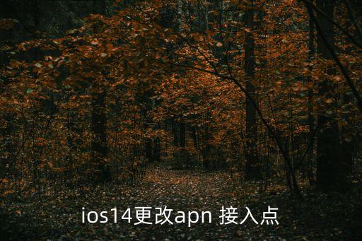 ios14更改apn 接入點