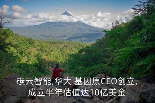 碳云智能,華大 基因原CEO創(chuàng)立,成立半年估值達10億美金
