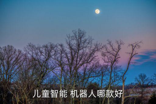 兒童智能 機(jī)器人哪款好
