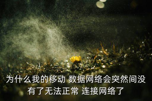 為什么我的移動 數(shù)據(jù)網(wǎng)絡(luò)會突然間沒有了無法正常 連接網(wǎng)絡(luò)了