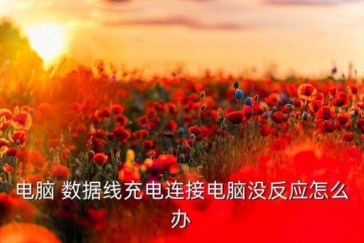 電腦 數(shù)據(jù)線充電連接電腦沒(méi)反應(yīng)怎么辦