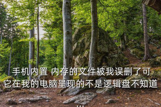  手機(jī)內(nèi)置 內(nèi)存的文件被我誤刪了可它在我的電腦呈現(xiàn)的不是邏輯盤不知道...