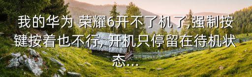 我的華為 榮耀6開不了機(jī)了,強(qiáng)制按鍵按著也不行, 開機(jī)只停留在待機(jī)狀態(tài)...