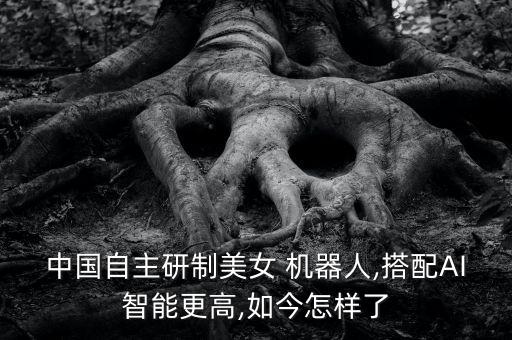 中國(guó)自主研制美女 機(jī)器人,搭配AI智能更高,如今怎樣了