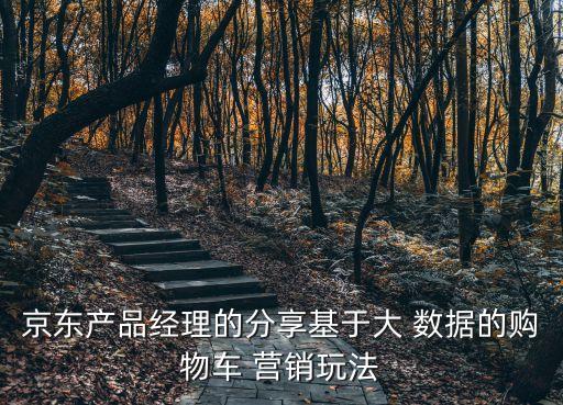 京東產(chǎn)品經(jīng)理的分享基于大 數(shù)據(jù)的購物車 營銷玩法