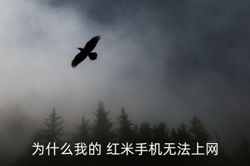 為什么我的 紅米手機(jī)無法上網(wǎng)