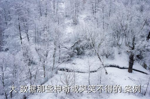 大 數(shù)據(jù)那些神奇或哭笑不得的 案例