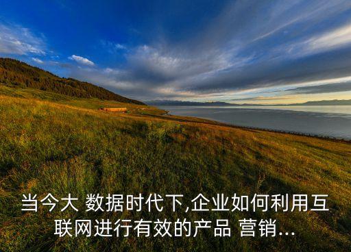 當(dāng)今大 數(shù)據(jù)時(shí)代下,企業(yè)如何利用互聯(lián)網(wǎng)進(jìn)行有效的產(chǎn)品 營銷...